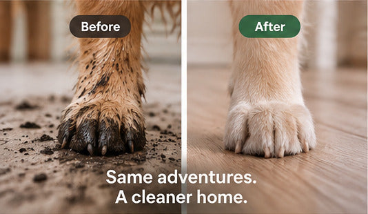 A muddy dog paw before cleaning and a cleaner paw after
