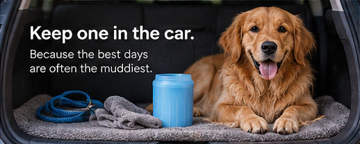 A golden retriever in a car boot with a MuddyMate, a towel and a lead